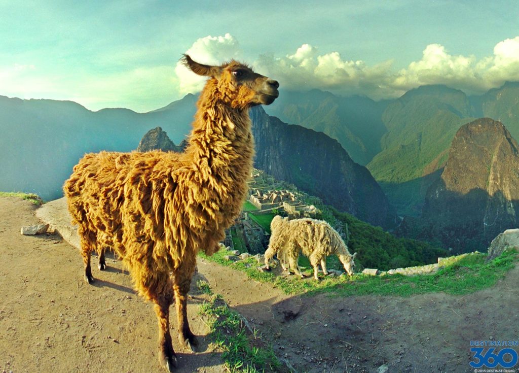 Machu Picchu Virtual Tour