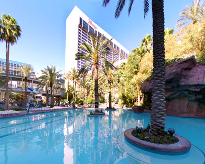 The Las Vegas Flamingo Pool