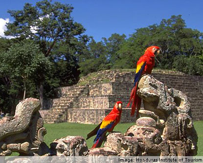 honduras animals